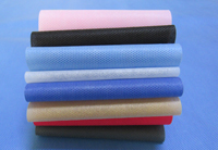 美兰涤纶（PET）无纺布是什么